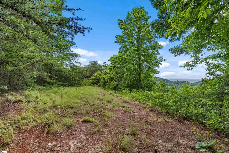 214 Craggy Rock Lane, Landrum, SC 29356 - #3
