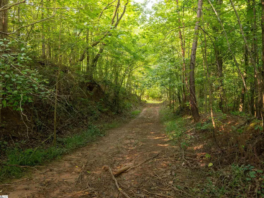 00 Crowe Creek Road #Lot C, Six Mile, SC 29682 - #3