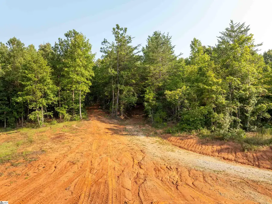 00 Crowe Creek Road #Lot D, Six Mile, SC 29682 - #3