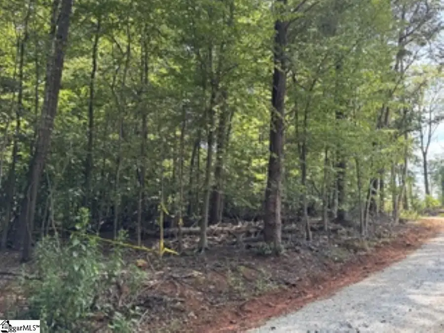 106 N Silver Lake Drive, Taylors, SC 29687 - #2