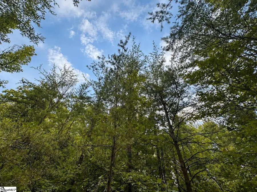 00 Sc Hwy 11, Pickens, SC 29671 - #2