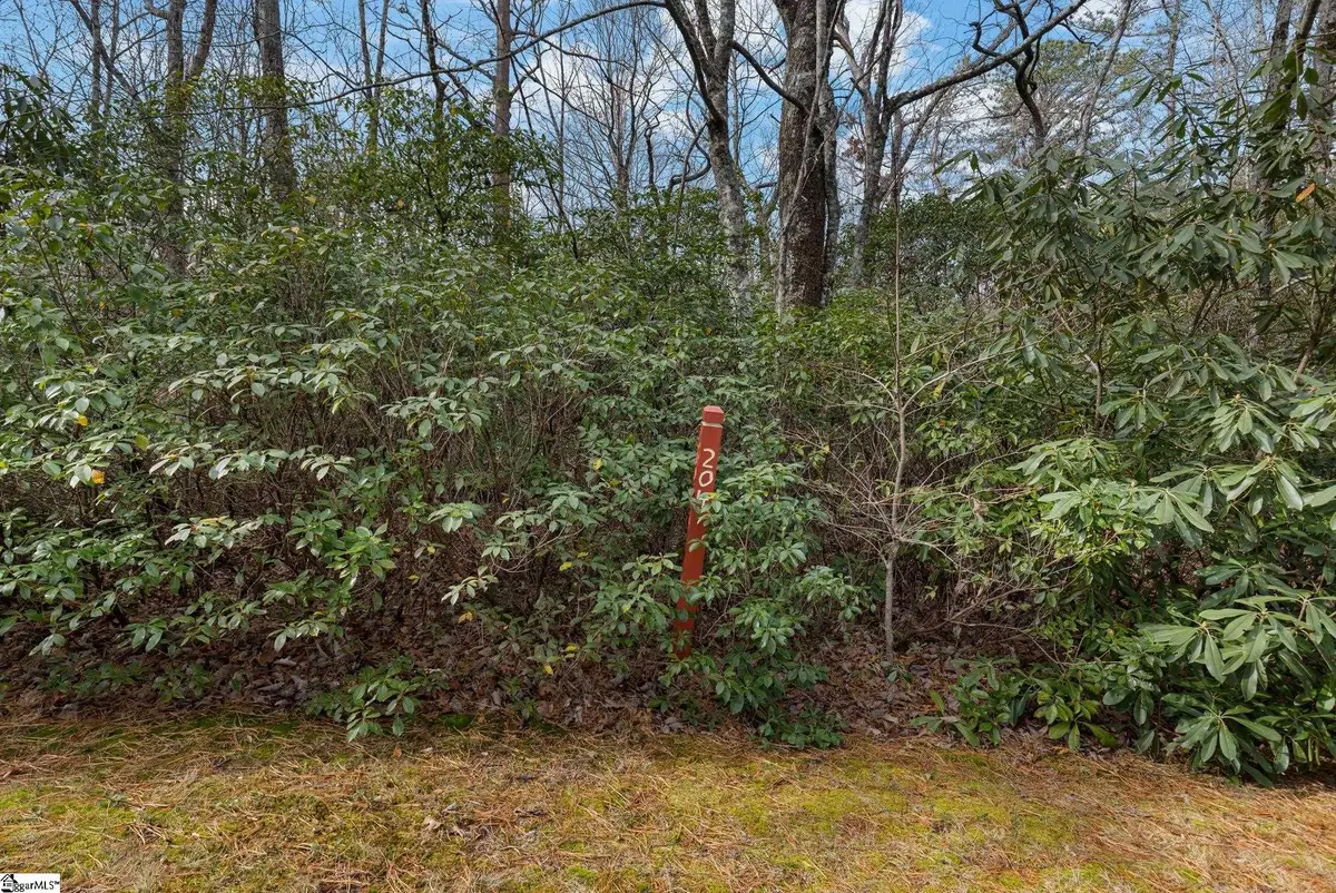 204 Conifer Falls Road, Cleveland, SC 29635 - #1