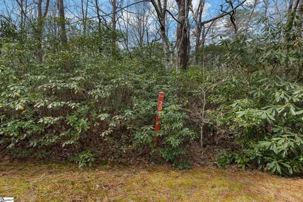 204 Conifer Falls Road, Cleveland, SC 29635