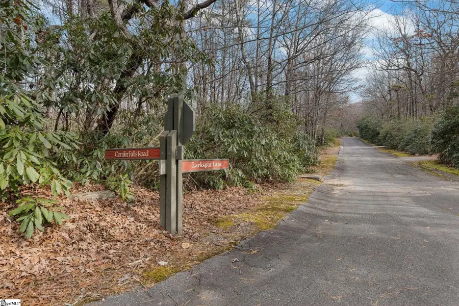 204 Conifer Falls Road, Cleveland, SC 29635 - #2