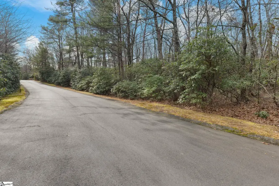 204 Conifer Falls Road, Cleveland, SC 29635 - #3