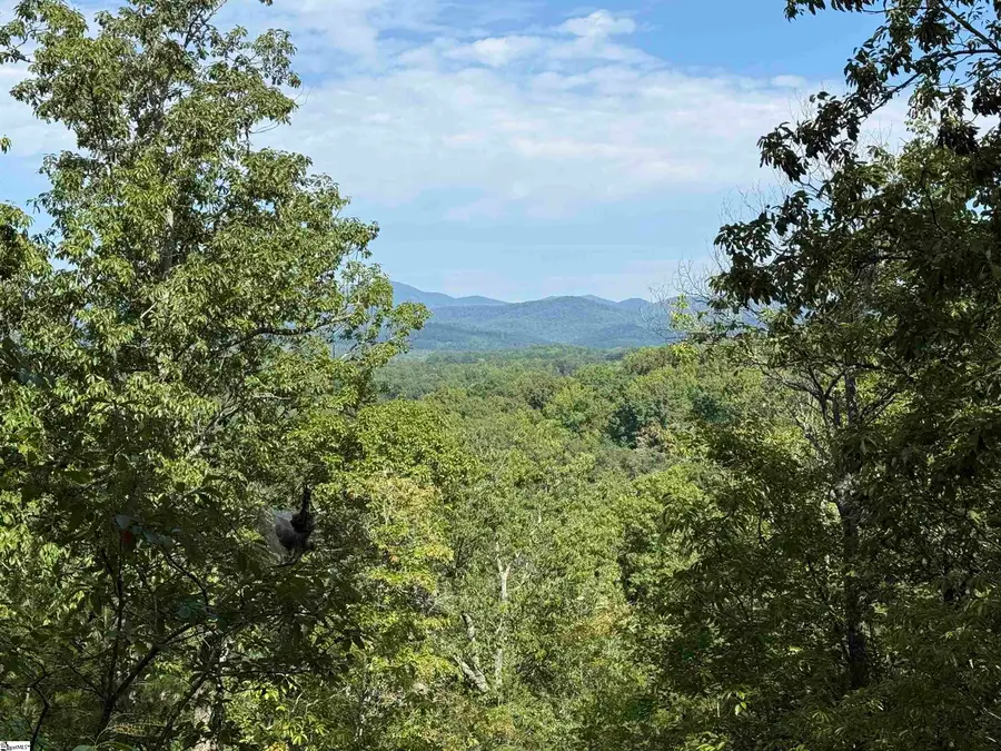 1140 Packs Mountain Ridge Road, Taylors, SC 29687 - #3