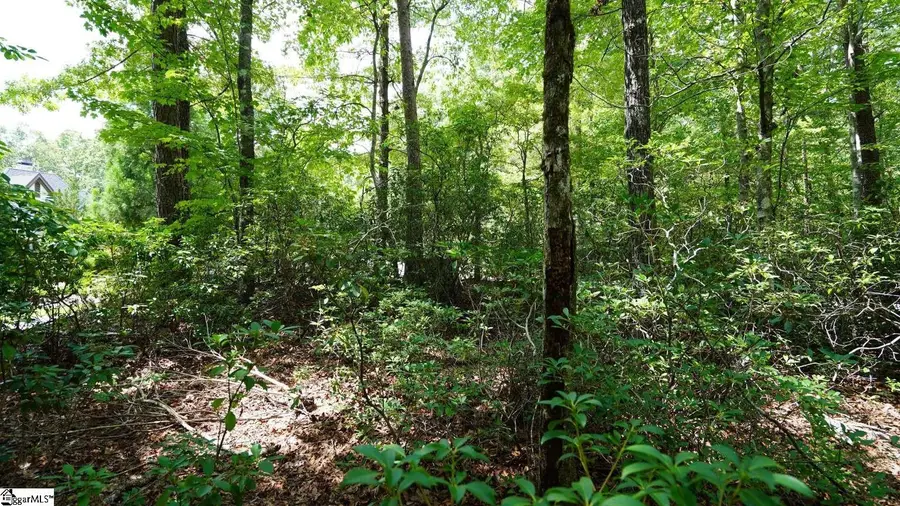 213 Ridge Haven Trail, Travelers Rest, SC 29690 - #3