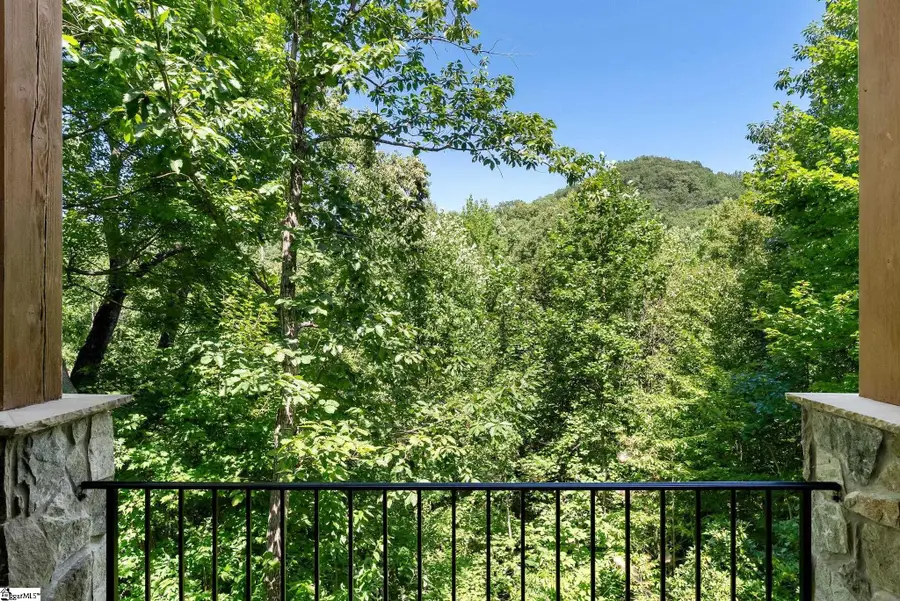 124 Grey Widgeon Trail, Marietta, SC 29661 - #2