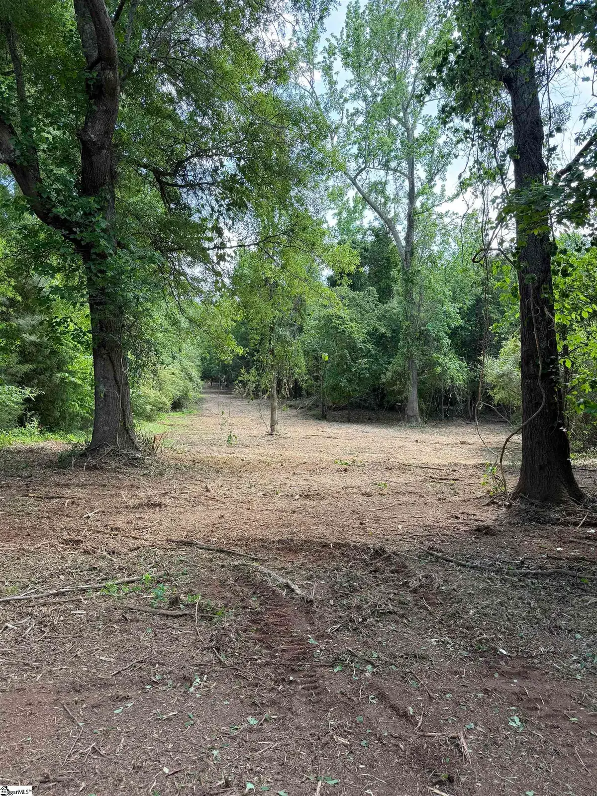 772 Brick House Road, Laurens, SC 29360 - #1