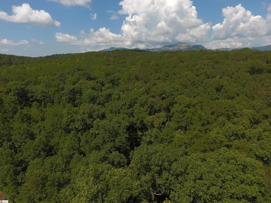 Address Withheld By Seller, North Pickens, SC 29672 - #2