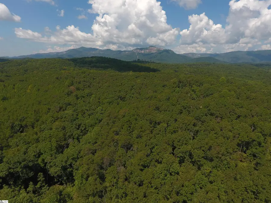 Address Withheld By Seller, North Pickens, SC 29672 - #3