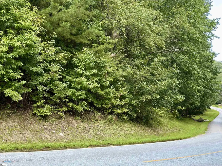 100 Cottage Side Trail, Travelers Rest, SC 29690 - #3