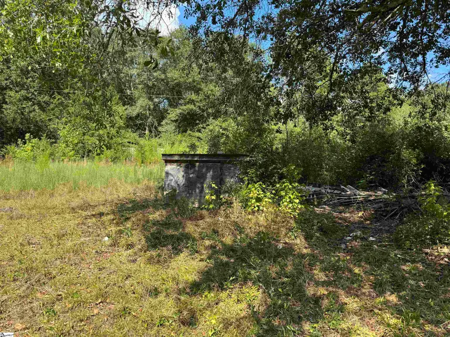 4174 Georgia Road, Gray Court, SC 29645 - #3