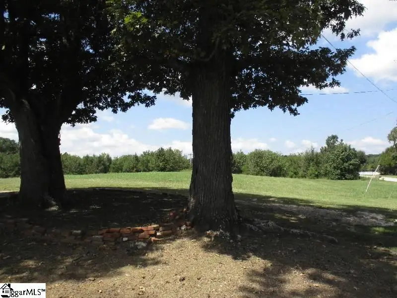 222 Nation Road, Hodges, SC 29653 - #3
