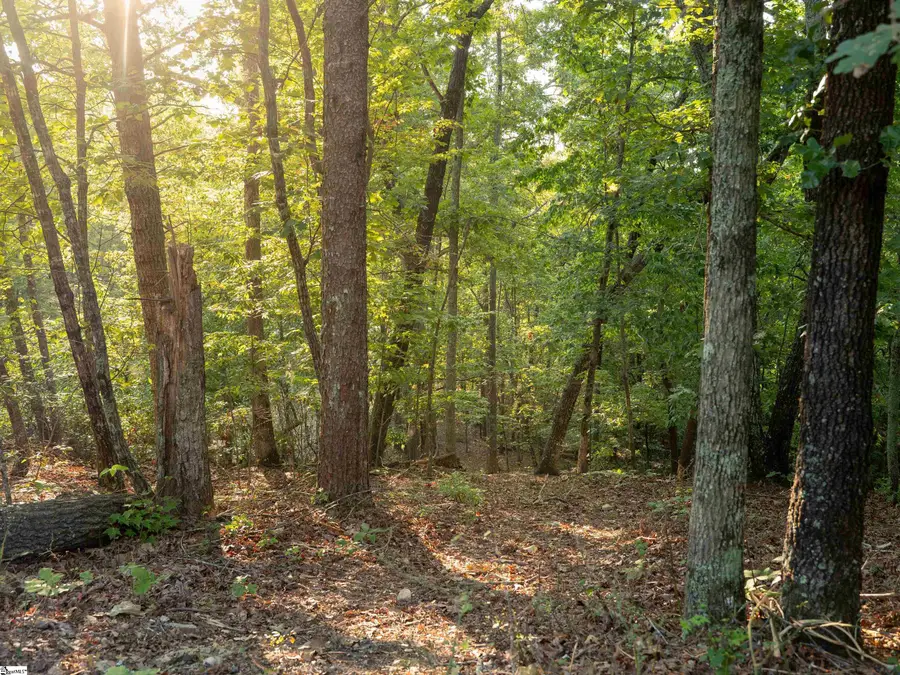 00 Anthony Road, Pickens, SC 29671 - #2