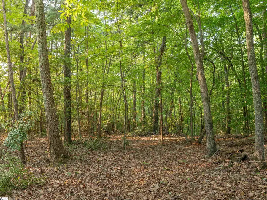 00 Anthony Road, Pickens, SC 29671 - #3