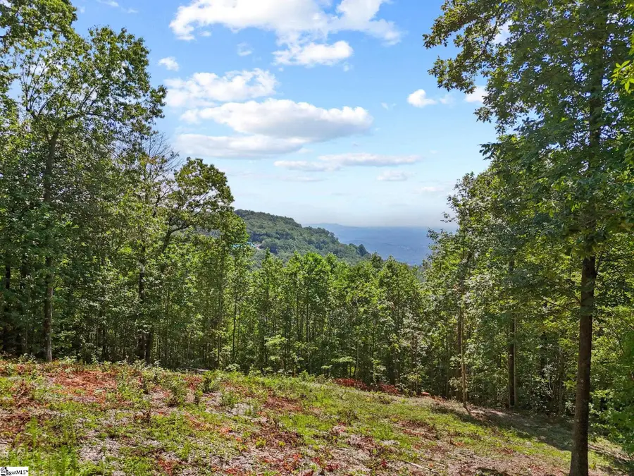 1394 Mountain Summit Road, Travelers Rest, SC 29690 - #2
