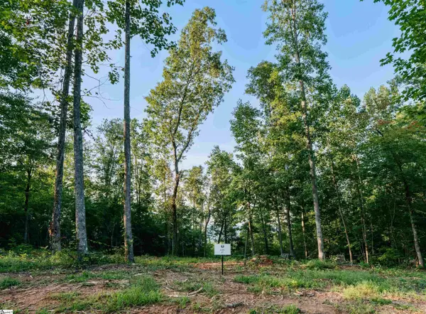 200 Chestnut Mountain Road #Lot 7, Travelers Rest, SC 29660