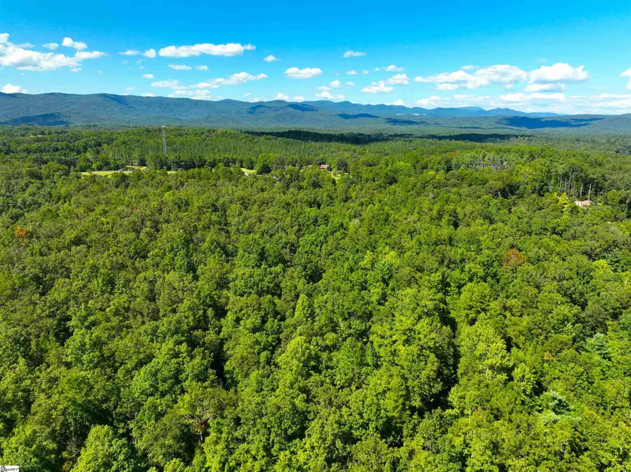 00 Whitmire Church Road, Tamassee, SC 29466 - #2