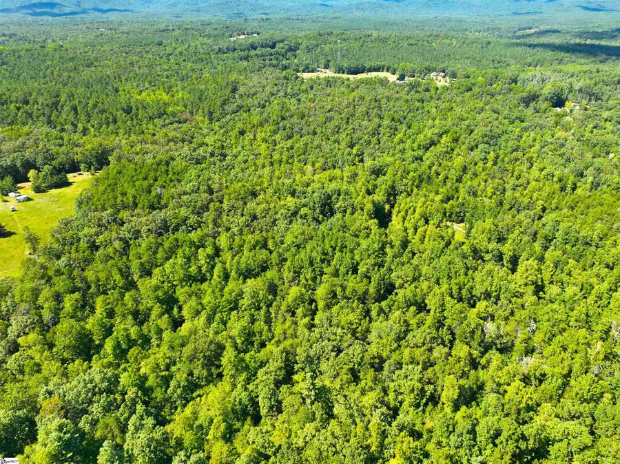 00 Whitmire Church Road, Tamassee, SC 29466 - #3