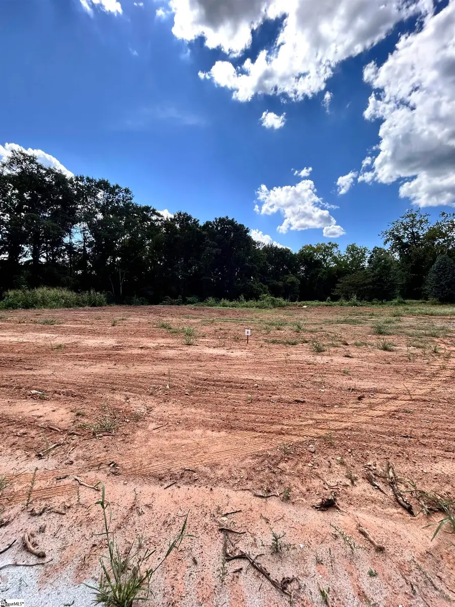 00 Clement Road, Greer, SC 29650 - #3