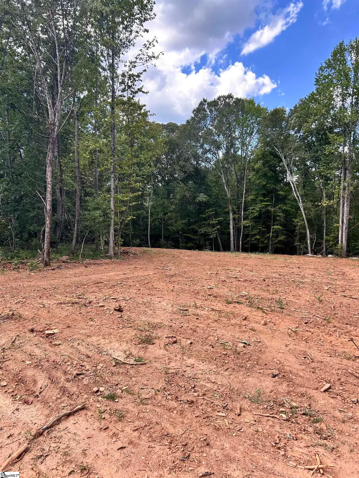 1602 Clement Road, Greer, SC 29650 - #1