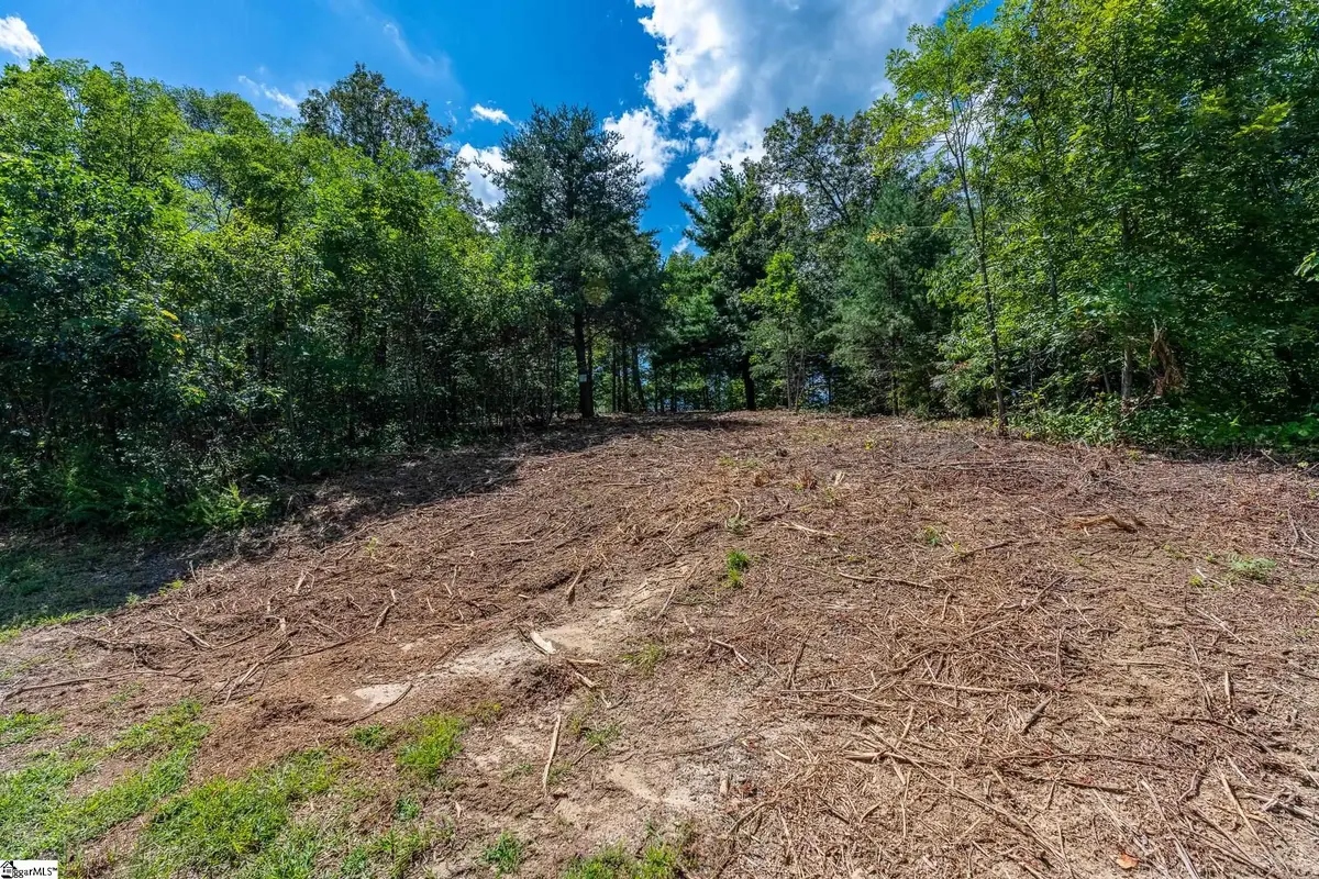 229 May Apple Way, Landrum, SC 29356-3329 - #1