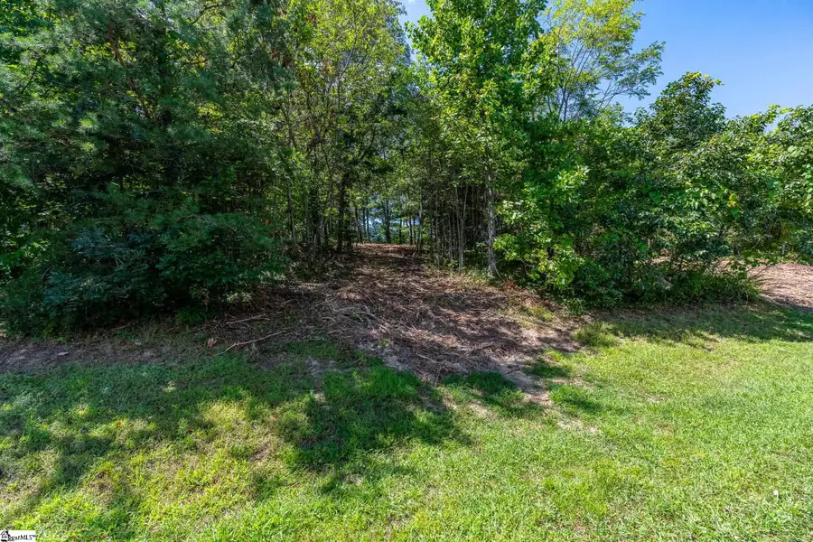 229 May Apple Way, Landrum, SC 29356-3329 - #3