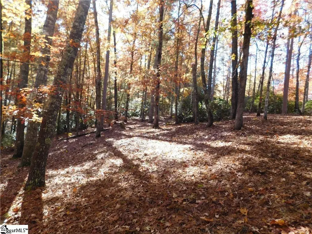 130 Cliffs Falls Parkway, Salem, SC 29676 - #1