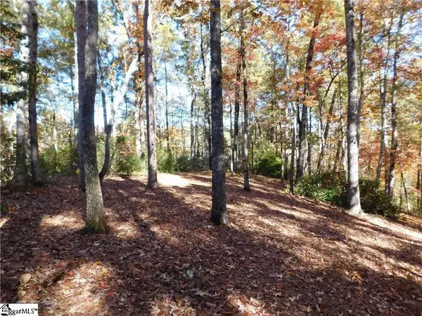 130 Cliffs Falls Parkway, Salem, SC 29676