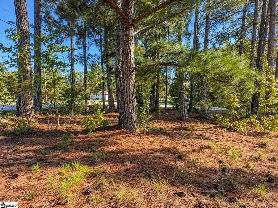 00 W Centennial Street, Clinton, SC 29325 - #2