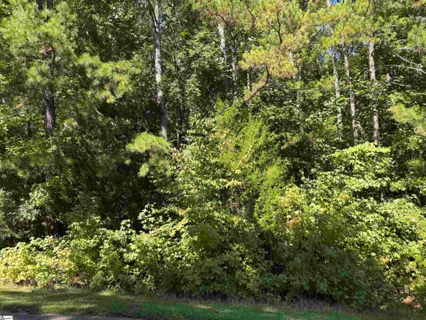 110 Peninsula Drive, Laurens, SC 29360