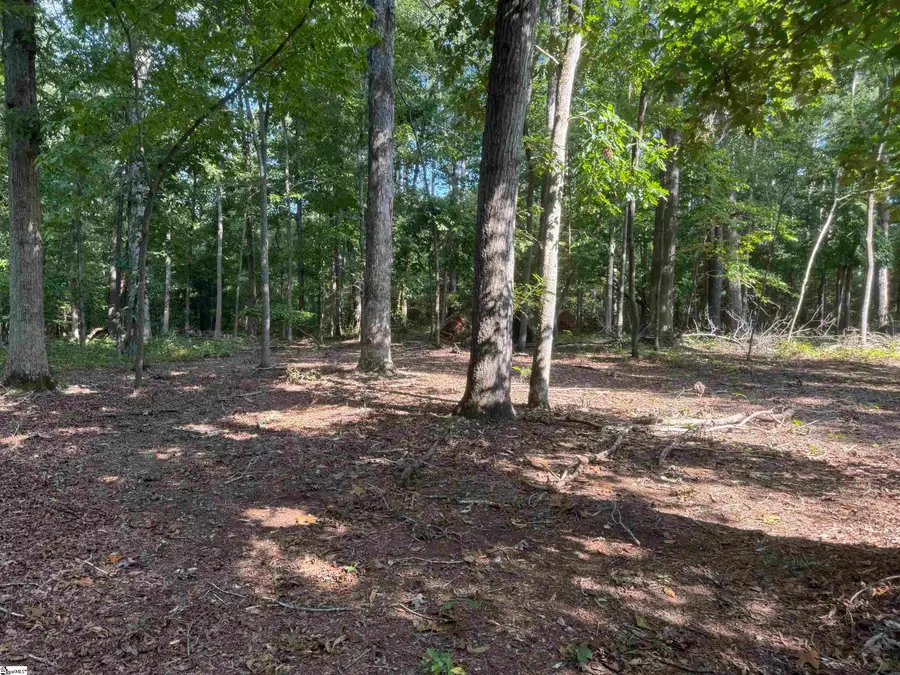 404 Timms Road, Piedmont, SC 29673 - #3