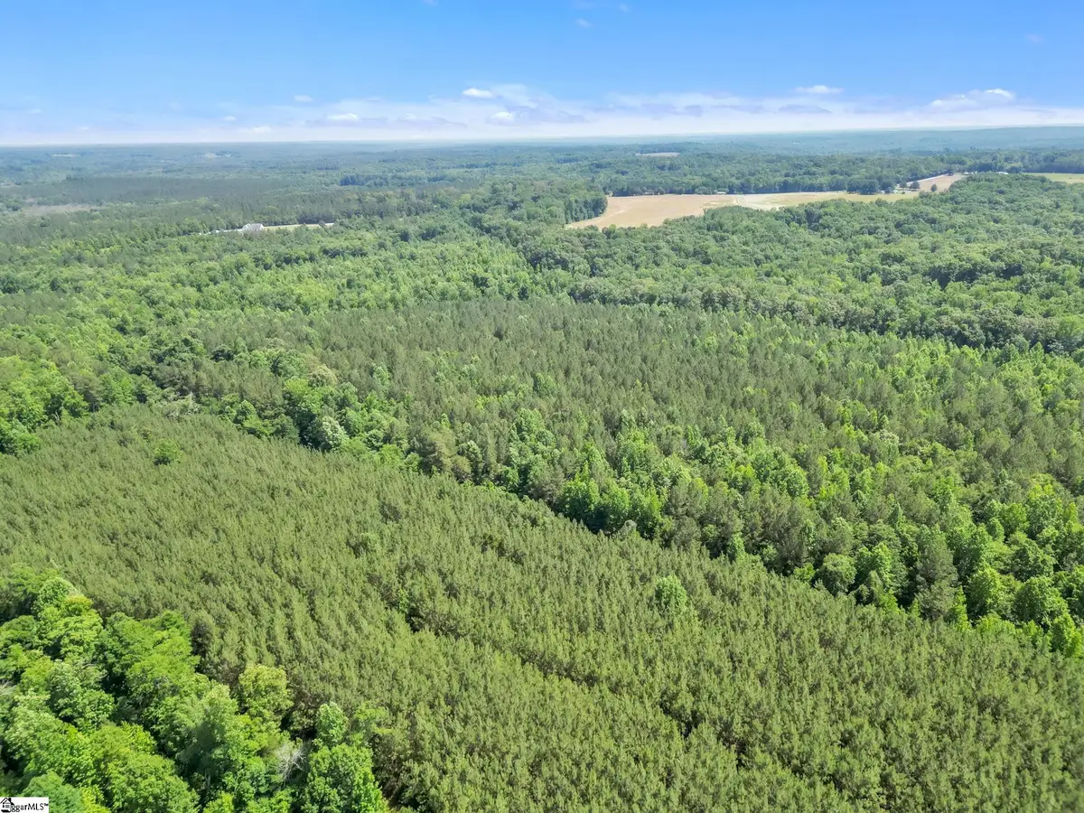 00 Simpson Mill Road, Laurens, SC 29360 - #1