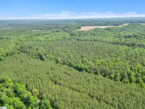 00 Simpson Mill Road, Laurens, SC 29360