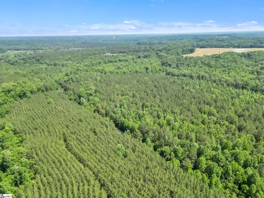 00 Simpson Mill Road, Laurens, SC 29360 - #2