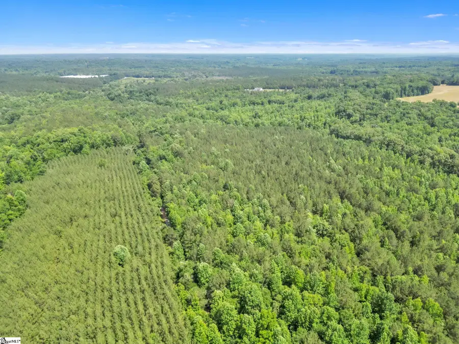 00 Simpson Mill Road, Laurens, SC 29360 - #3