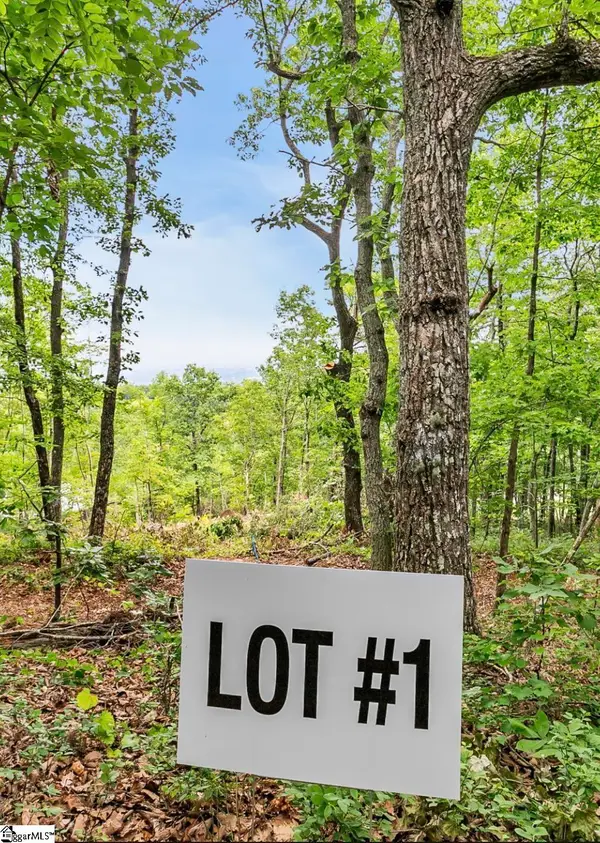 1321 Altamont Road, Greenville, SC 29609