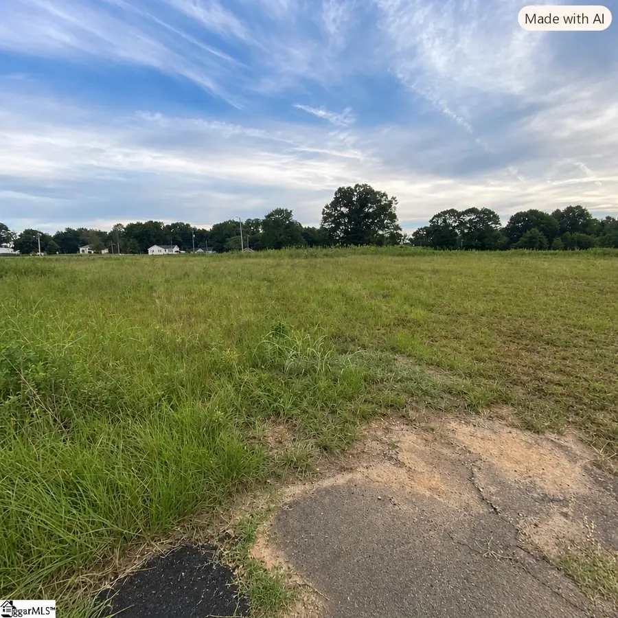 00 Echange Drive, Laurens, SC 29360 - #3
