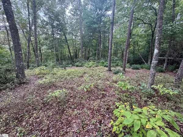 S46 Cliffs Falls Parkway, Salem, SC 29676