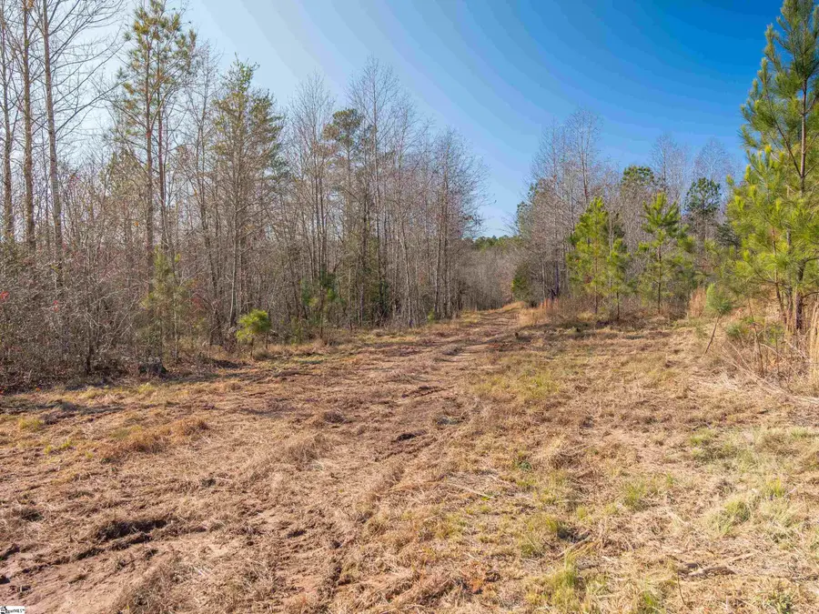 010 Mill Pine Road, Liberty, SC 29657 - #3