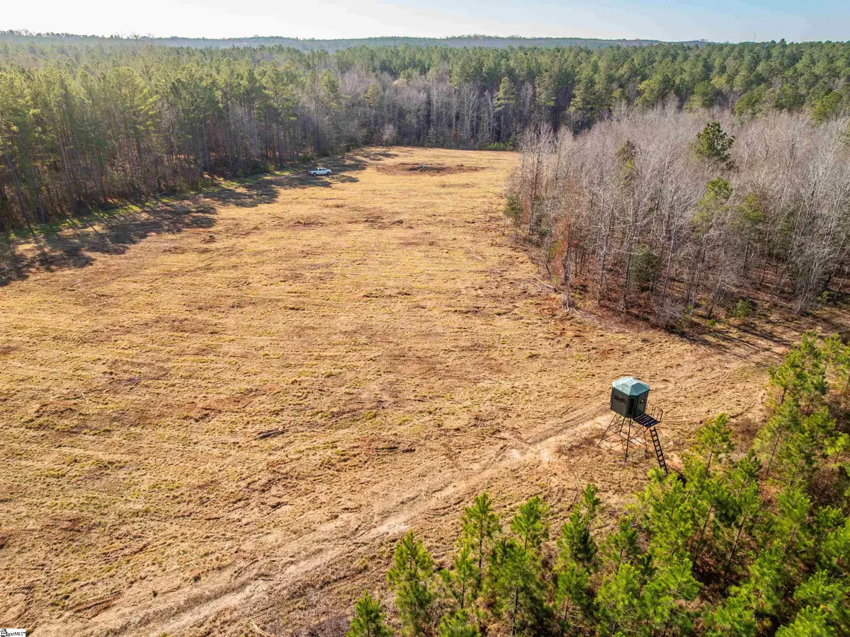 Mill Pine Road #Lots 10 & 11, Liberty, SC 29657 - #1