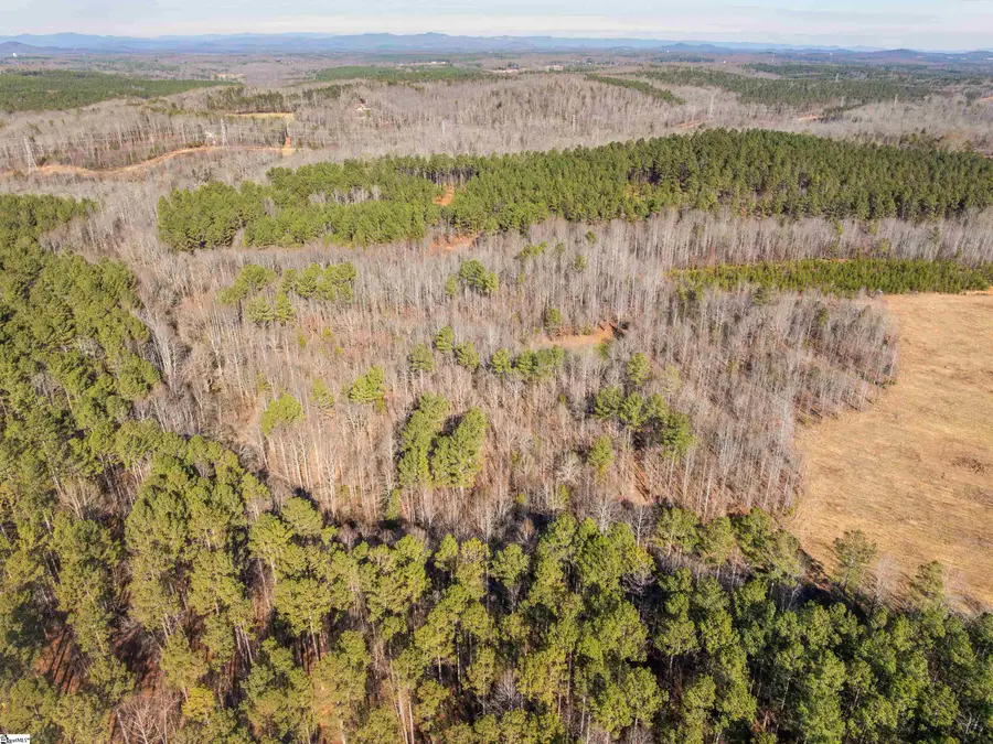 Mill Pine Road #Lots 10 & 11, Liberty, SC 29657 - #2