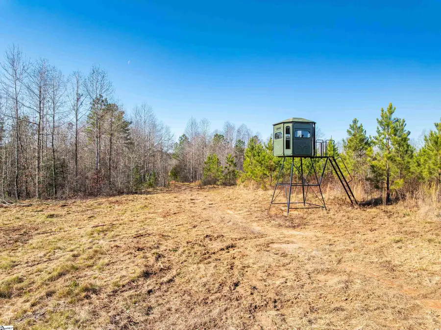 Mill Pine Road #Lots 10 & 11, Liberty, SC 29657 - #3