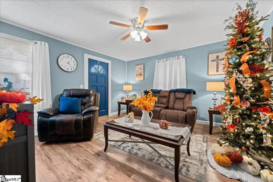 156 Holder Street, Pickens, SC 29671 - #3