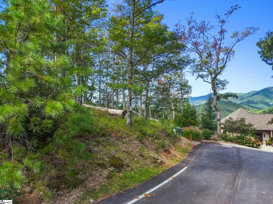 121 Upper Ridge Way, Travelers Rest, SC 29690 - #2