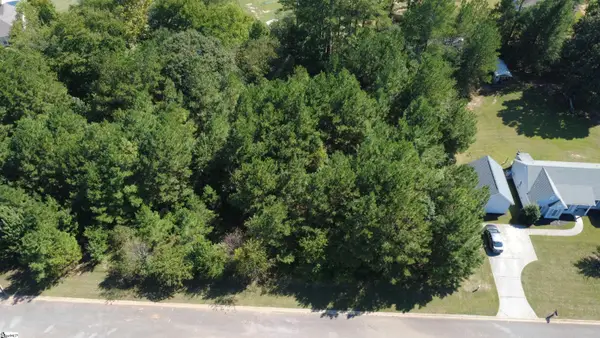 208 Carrageen Drive, Williamston, SC 29697