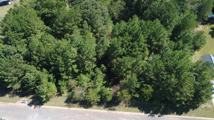 208 Carrageen Drive, Williamston, SC 29697 - #2