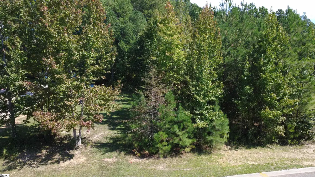 111 Irish Moss Drive, Williamston, SC 29697 - #1