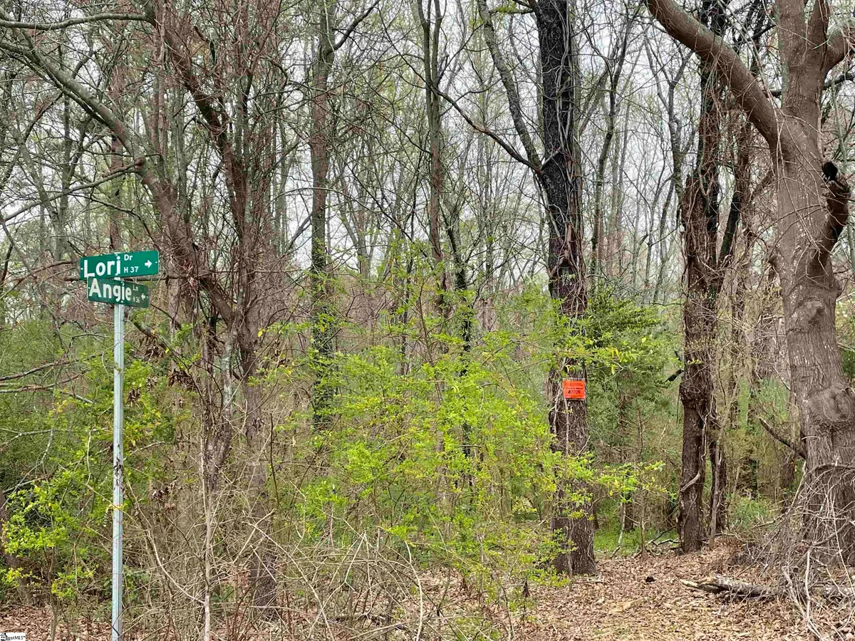 00 Highway 146, Simpsonville, SC 29681 - #1